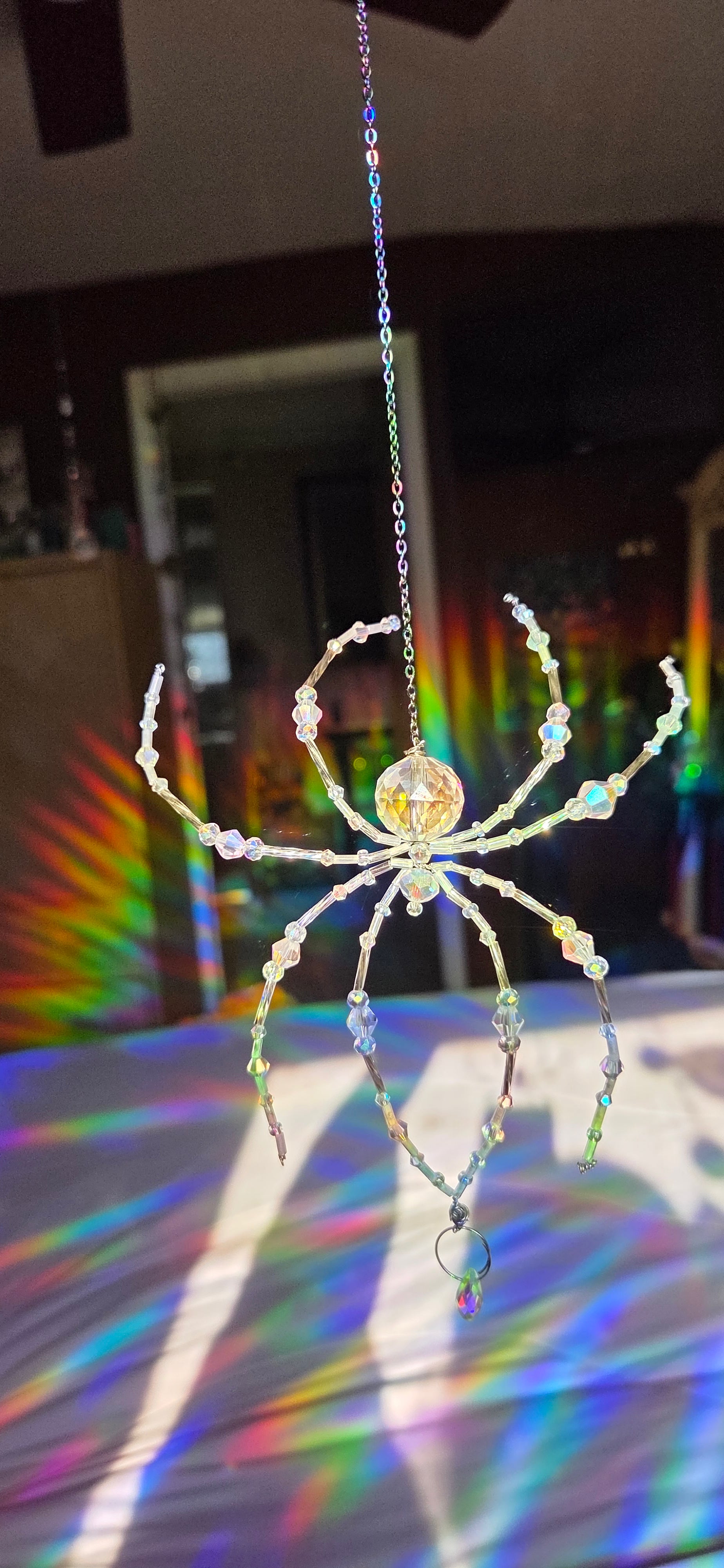 Not Scary Spiders