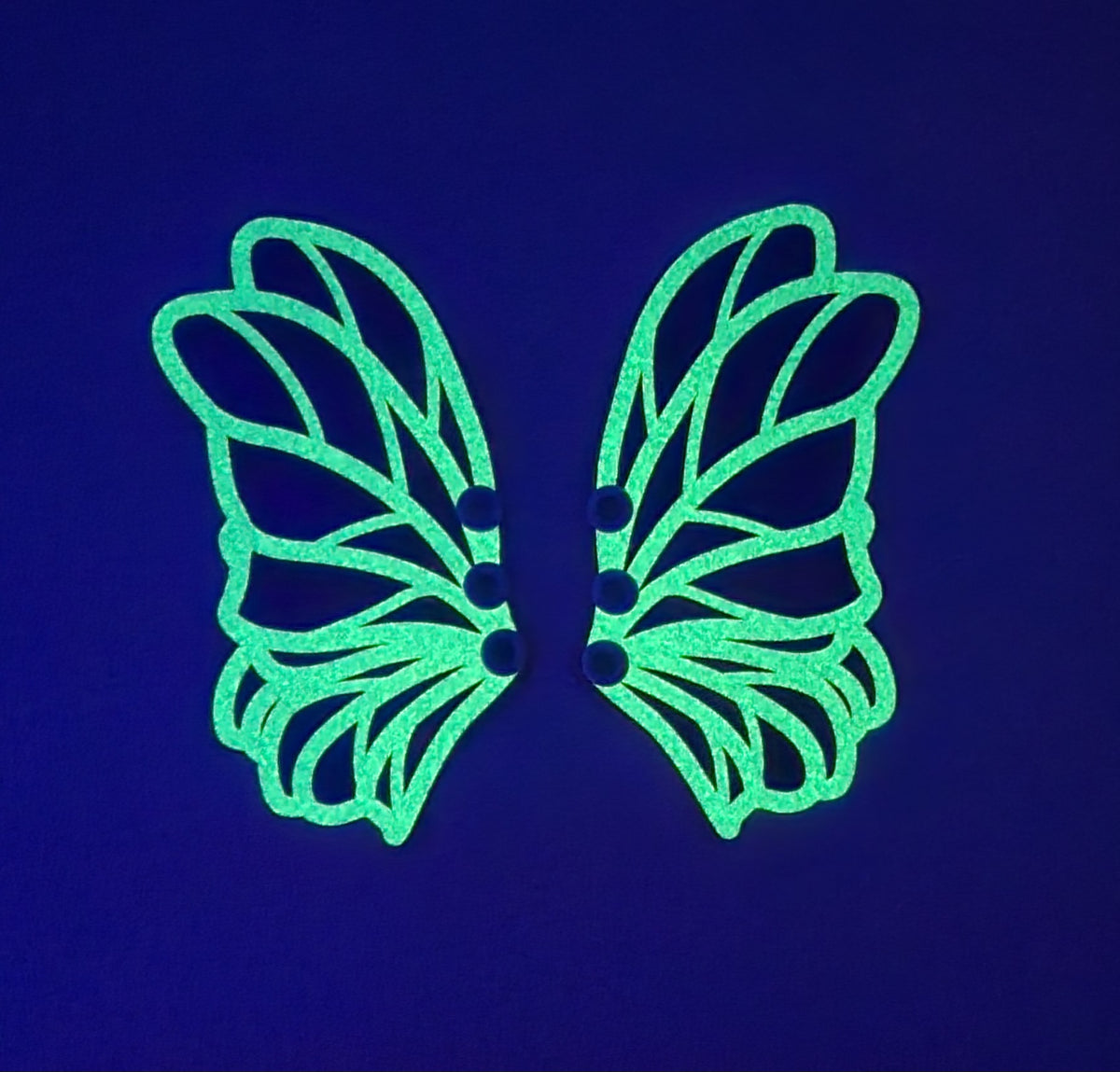 Fairy Shoe Wings