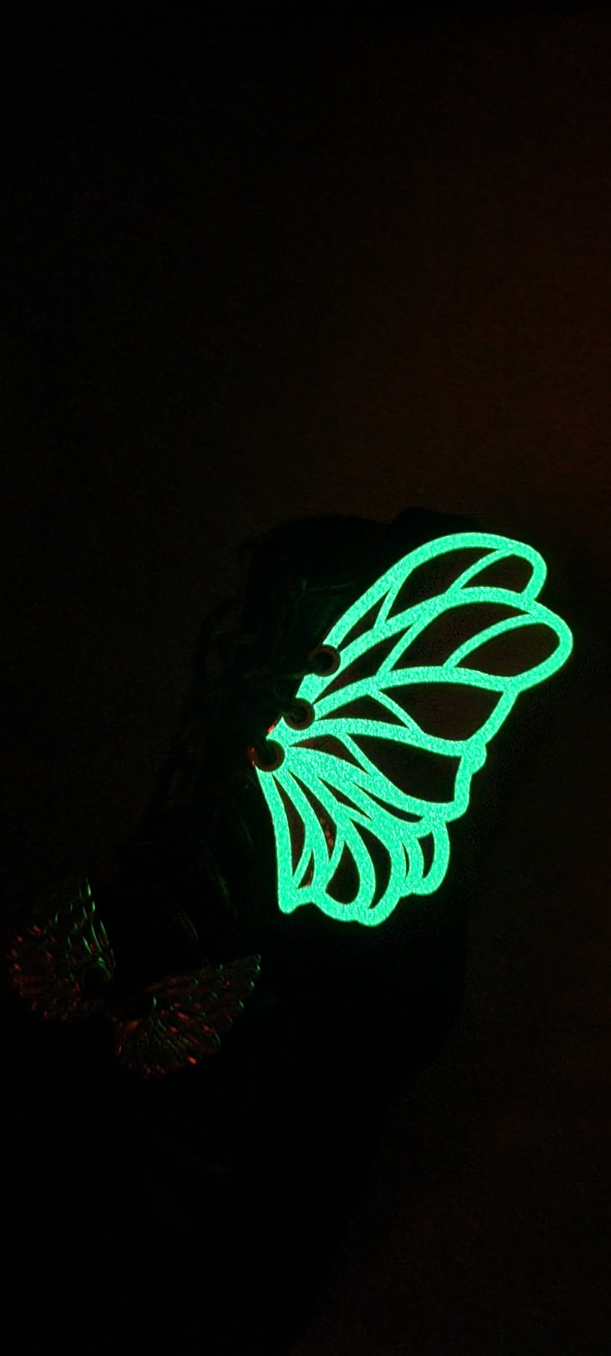 Fairy Shoe Wings