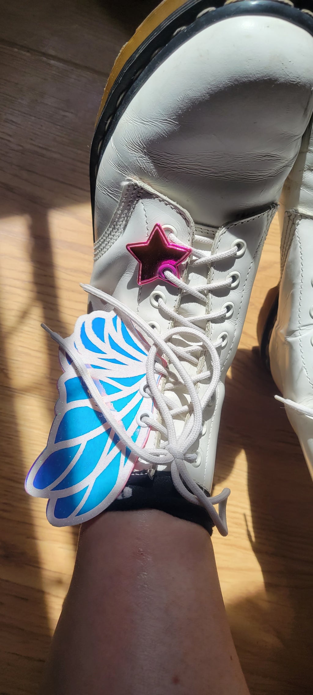 Fairy Shoe Wings