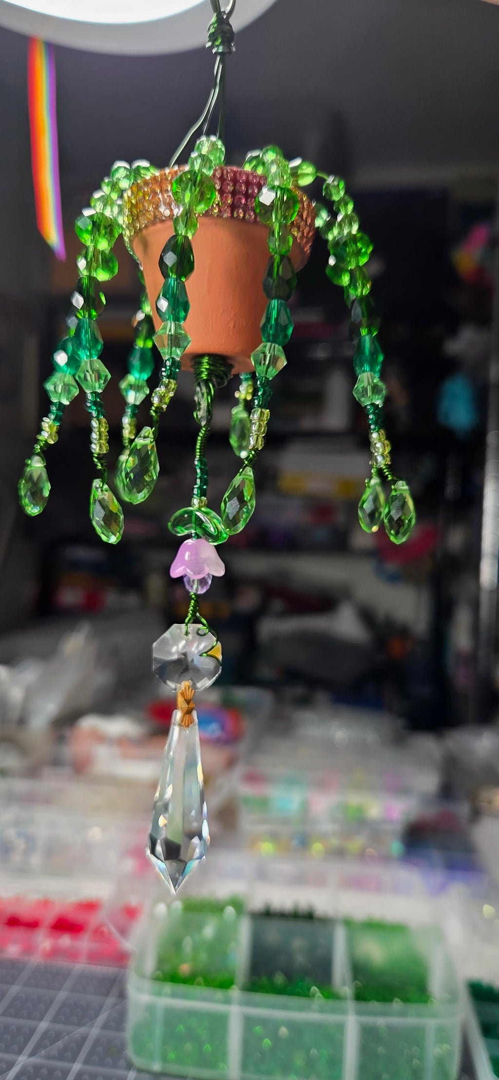 Simple Beauty Forever Plant
