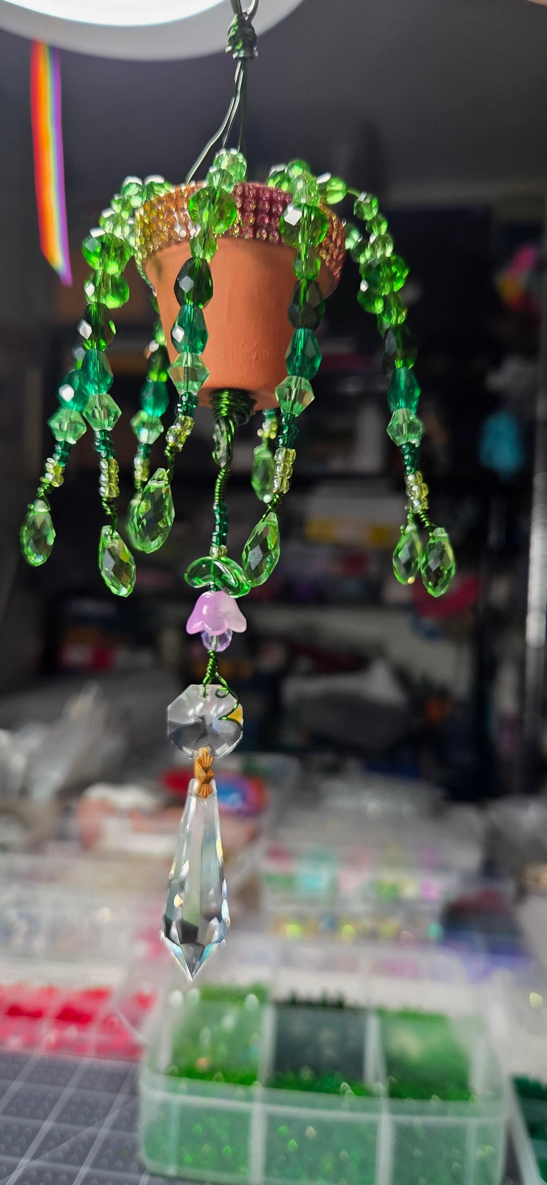 Simple Beauty Forever Plant