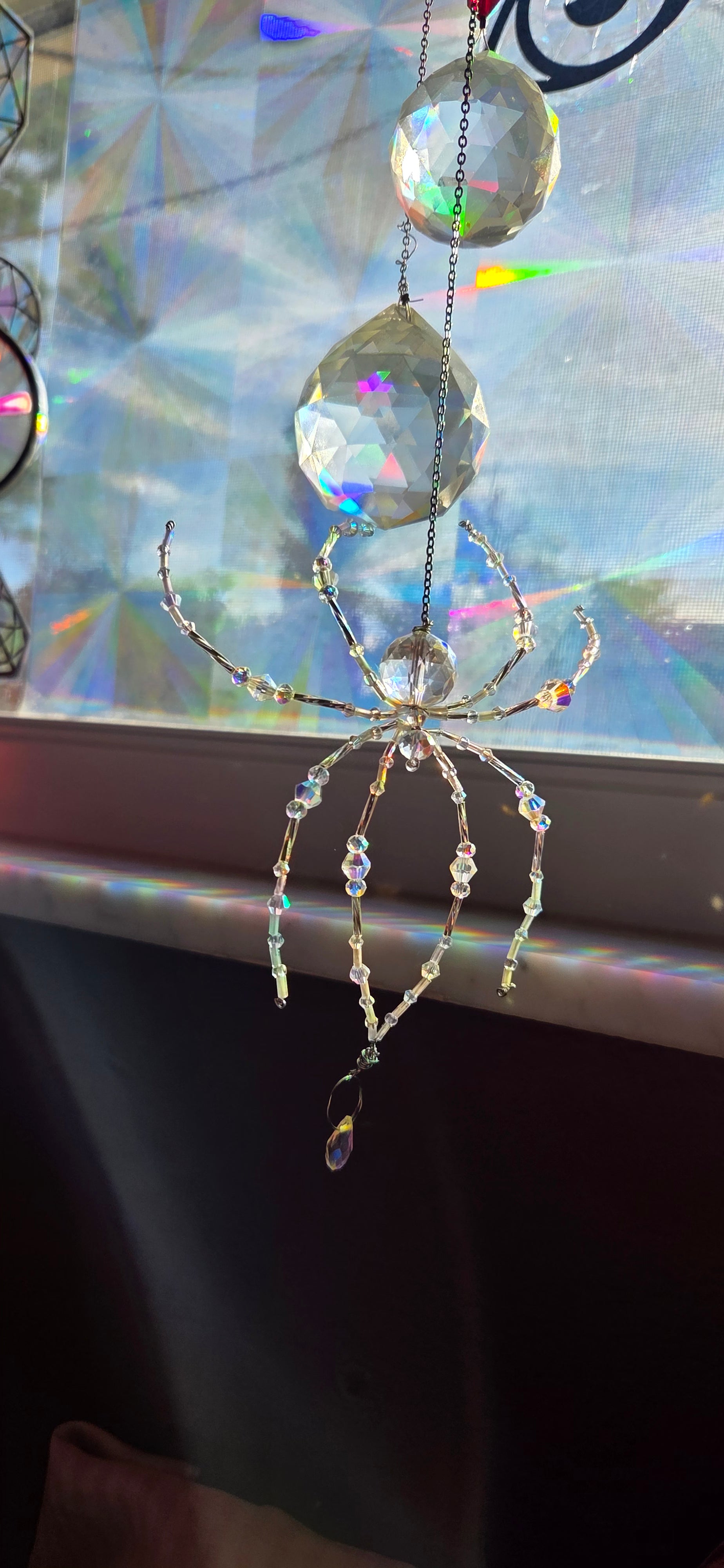 Baby Iridescent Spider