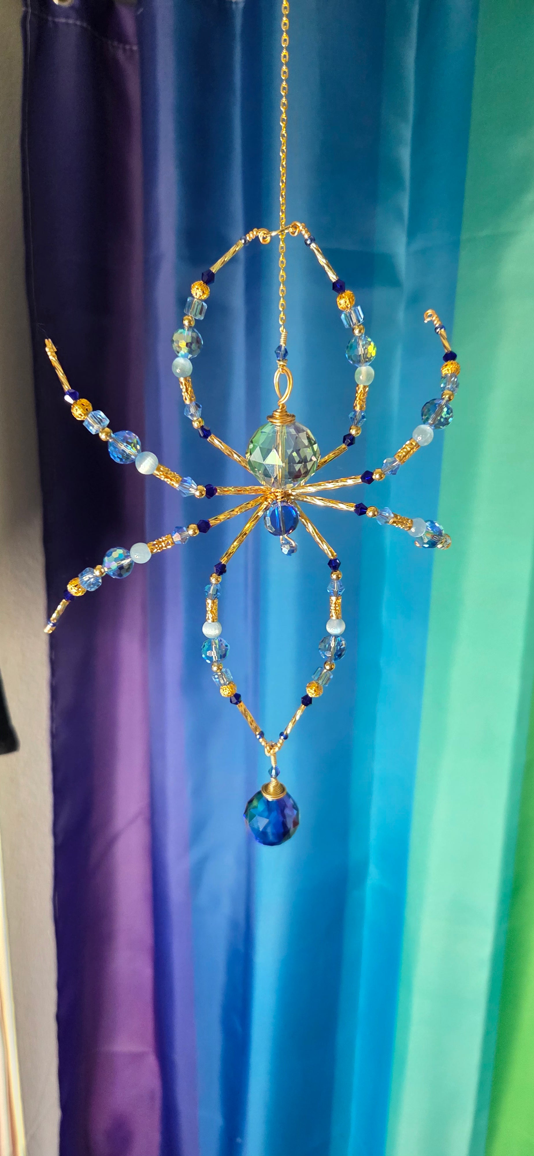 Sapphire Not Scary Spider