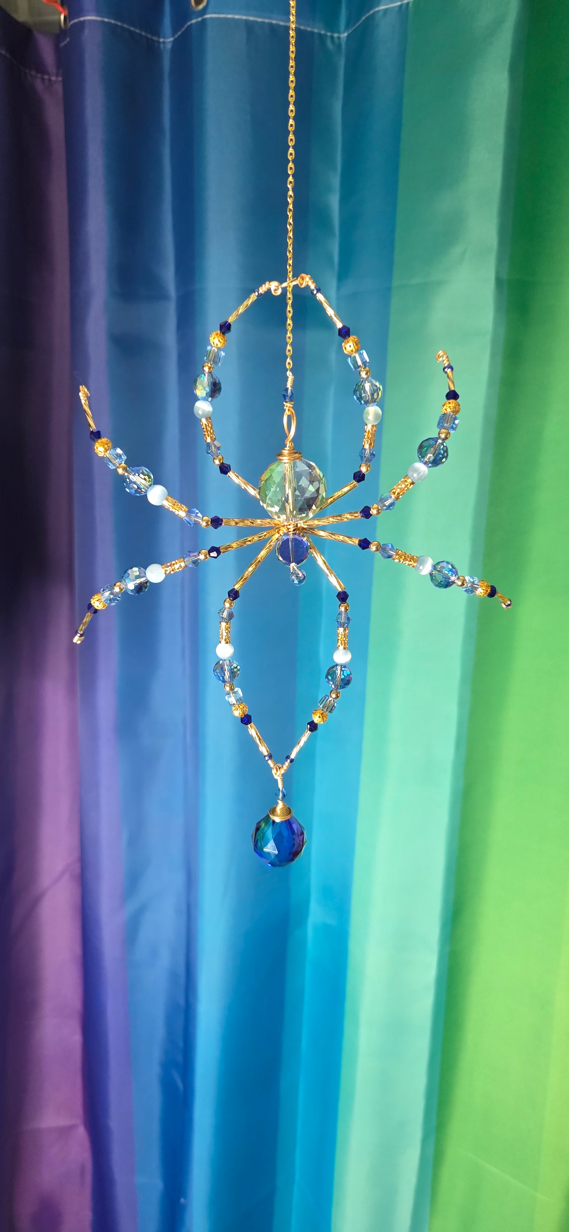 Sapphire Not Scary Spider