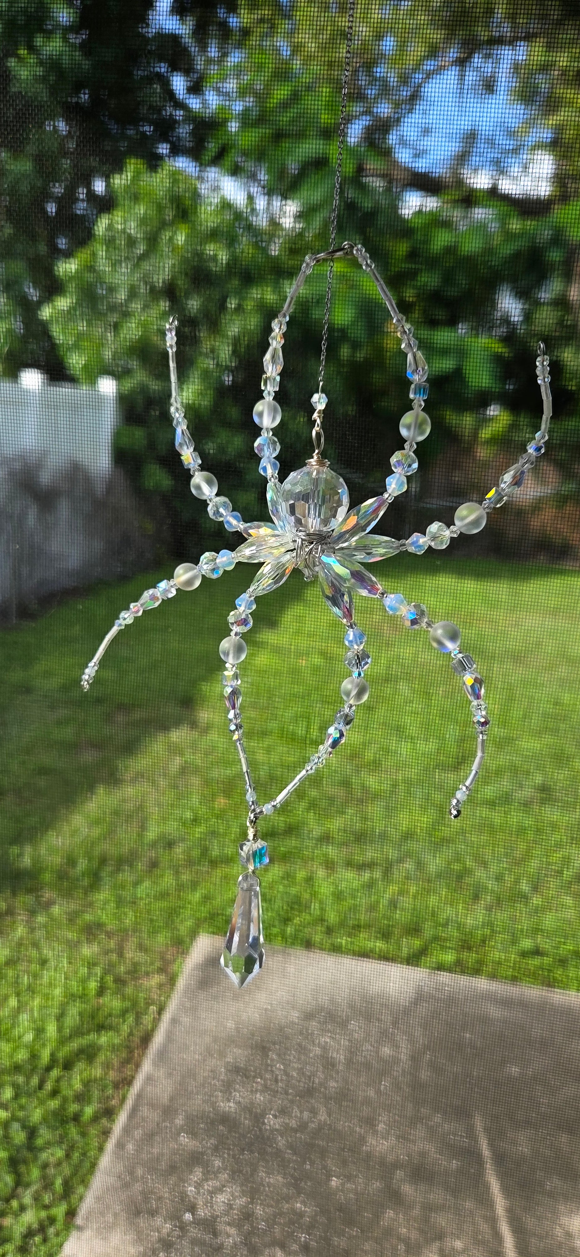 Iridescent Not Scary Spider