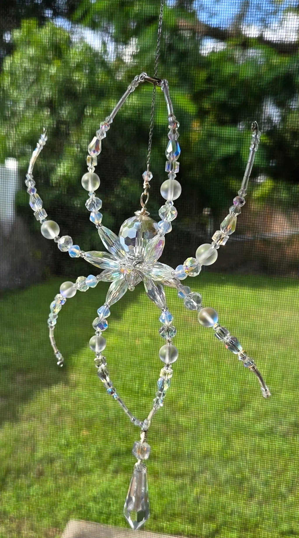 Iridescent Not Scary Spider