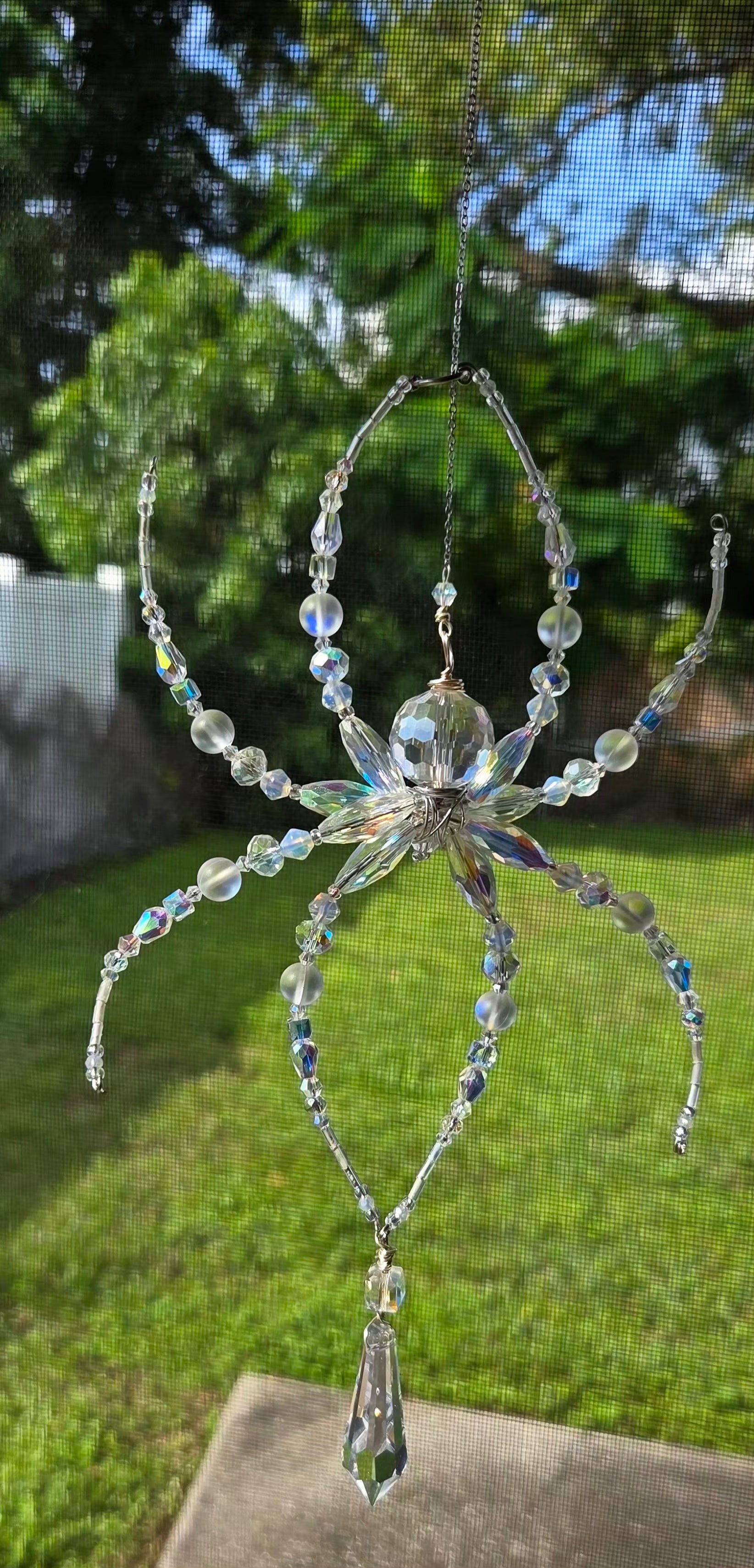 Iridescent Not Scary Spider