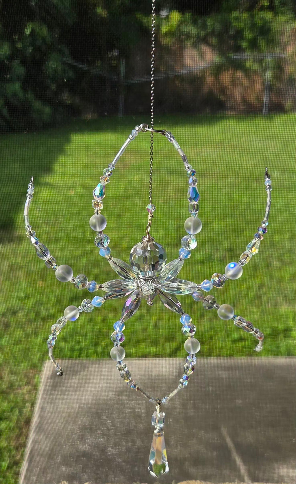 Iridescent Not Scary Spider