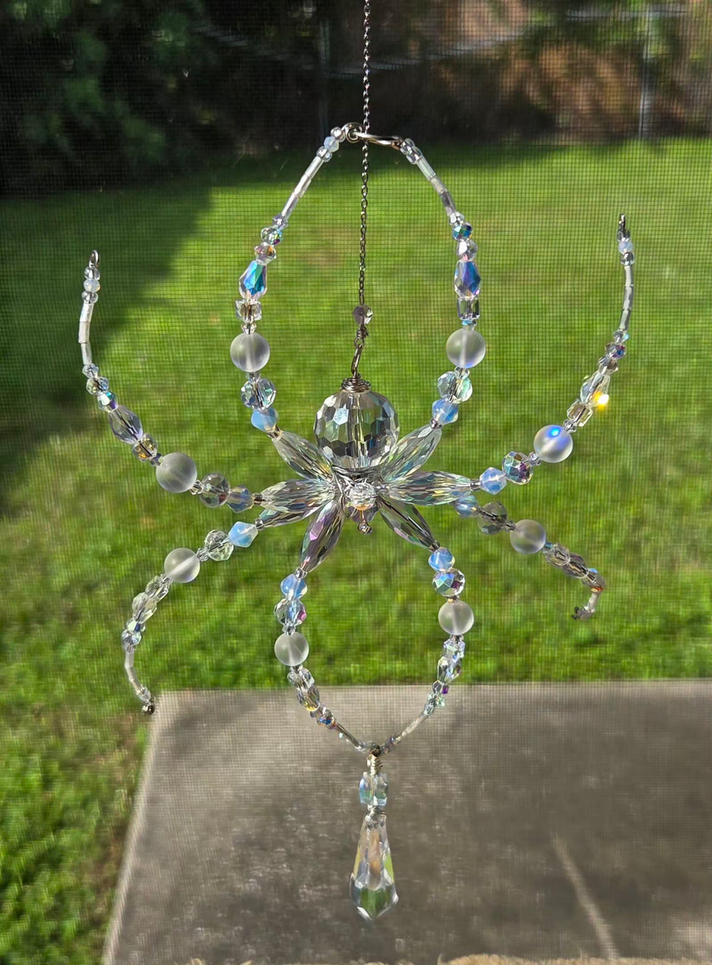 Iridescent Not Scary Spider
