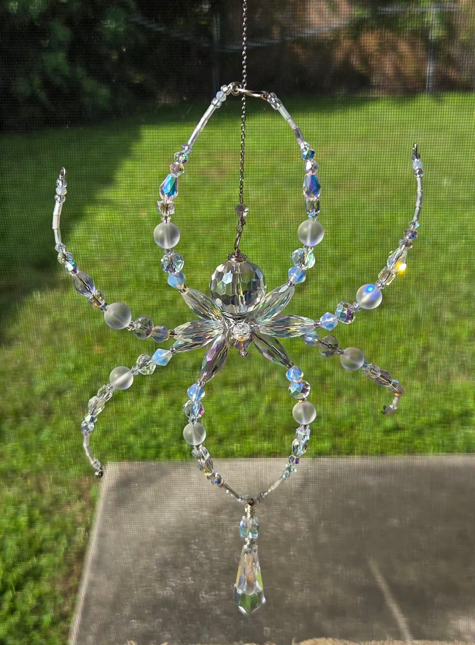 Iridescent Not Scary Spider