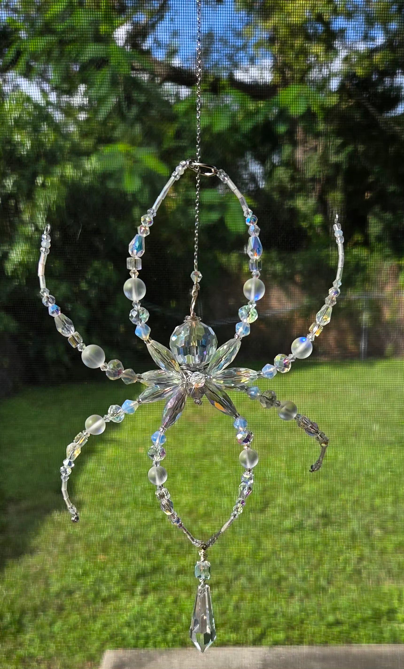Iridescent Not Scary Spider