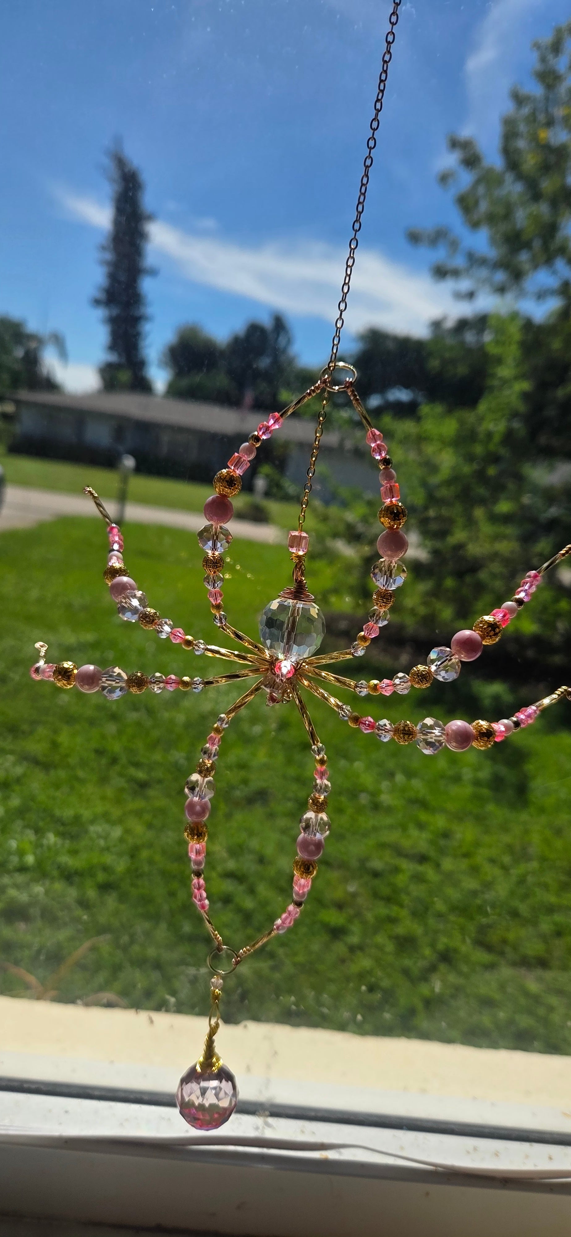 Pretty In Pink Spider