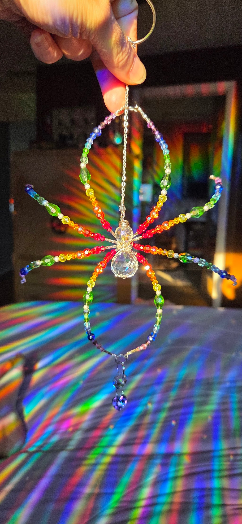 Rainbow Spider