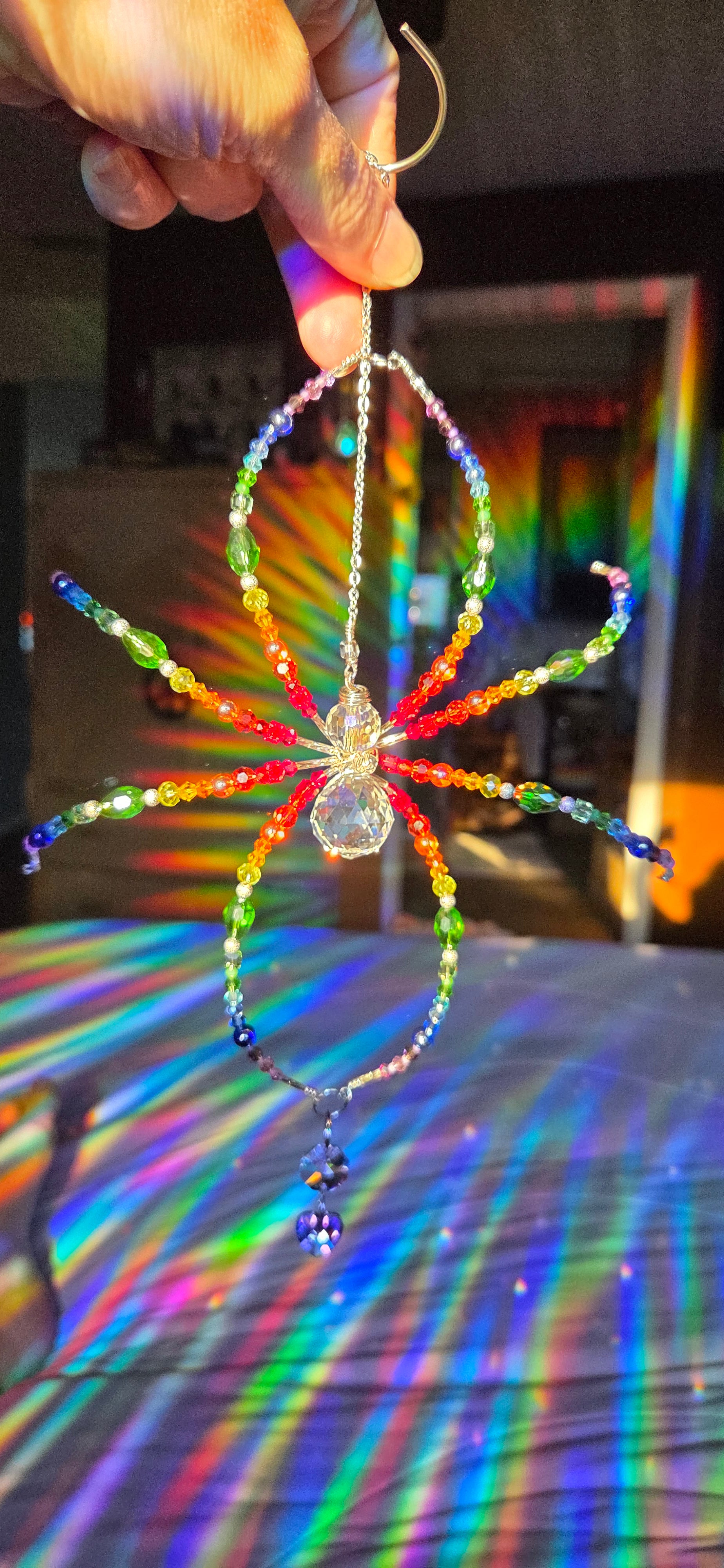 Rainbow Spider