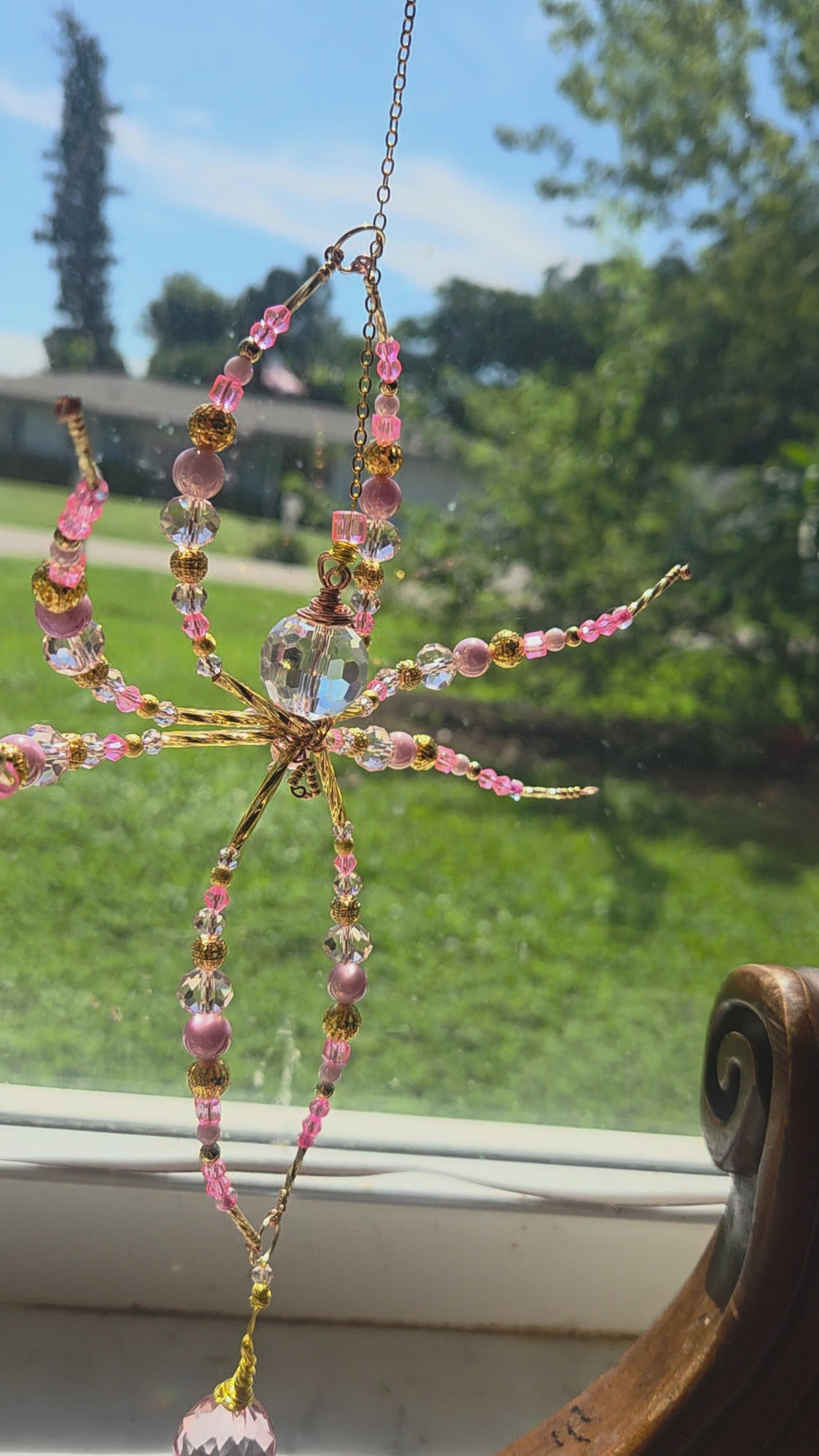 Pretty In Pink Spider