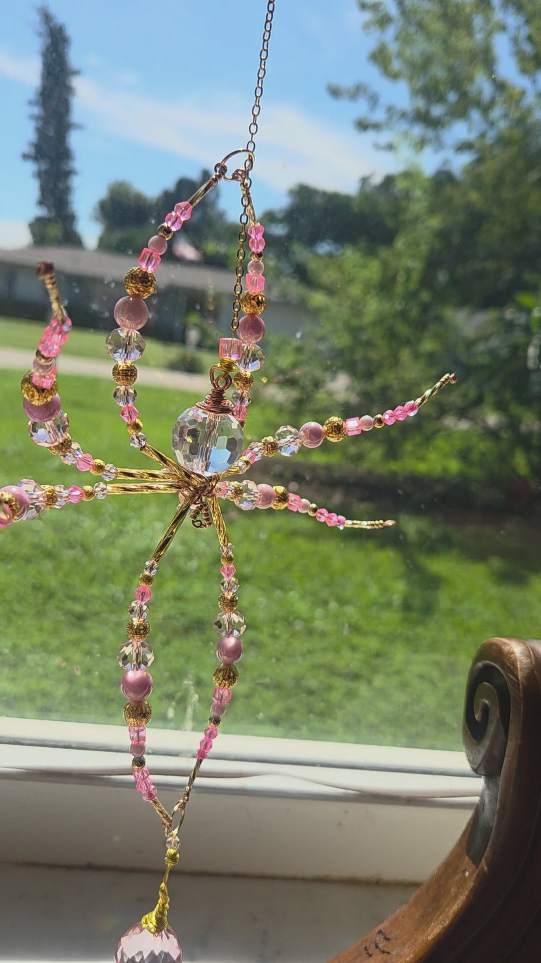 Pretty In Pink Spider
