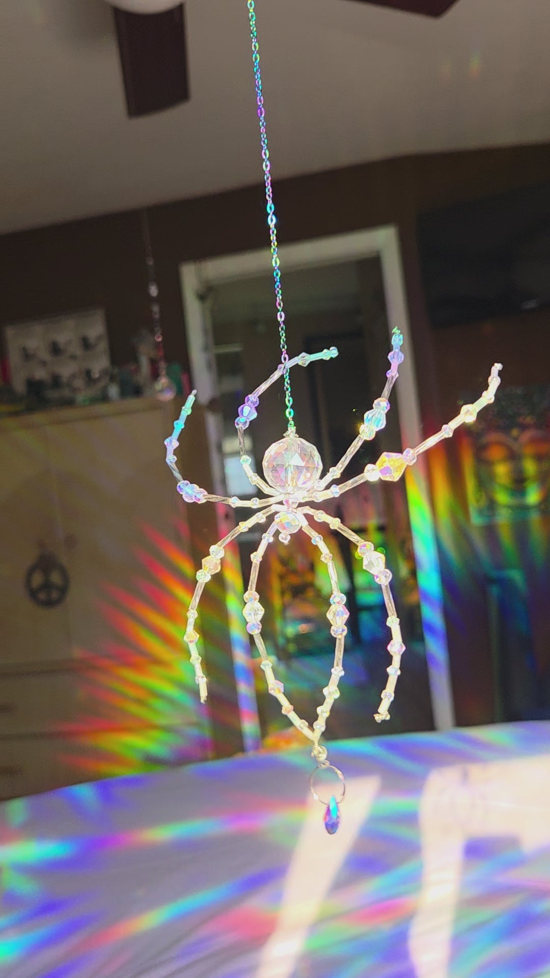 Baby Iridescent Spider
