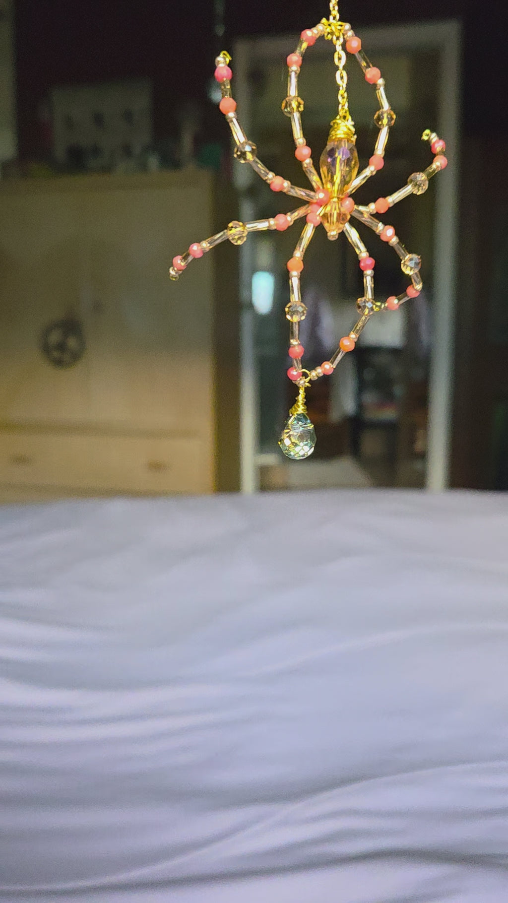 Forever Plant with Spider Friend