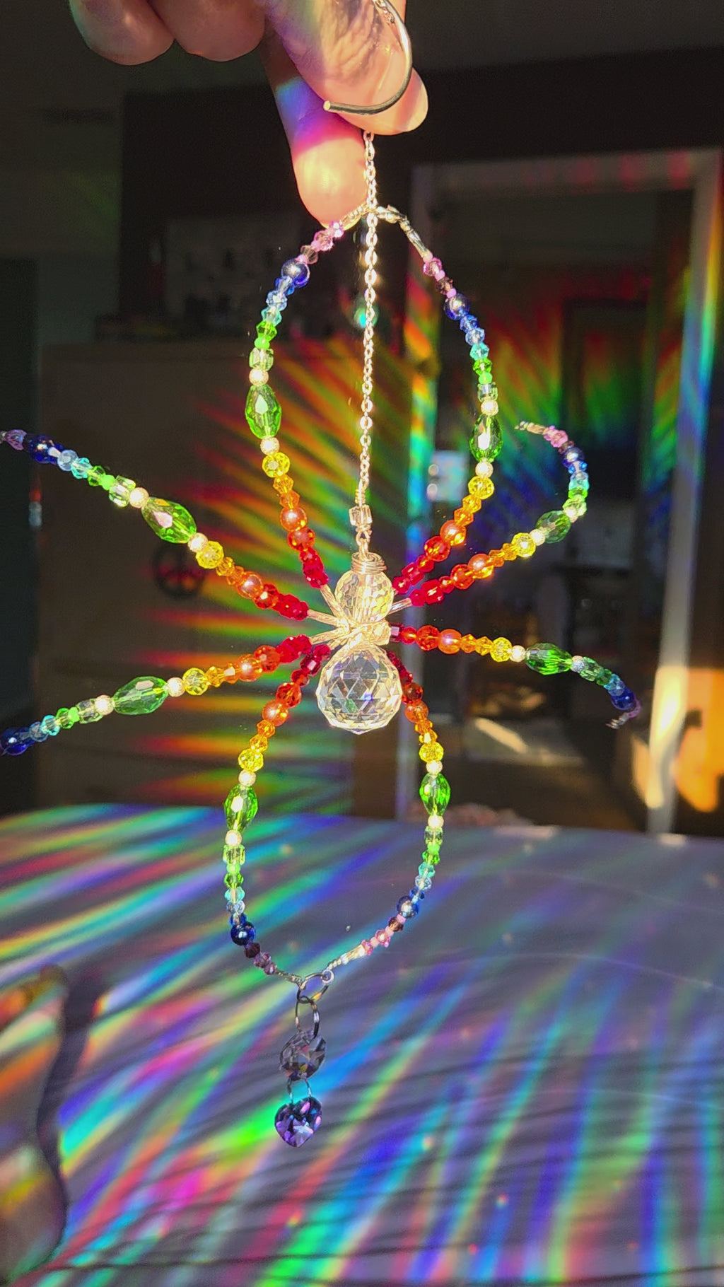Rainbow Spider