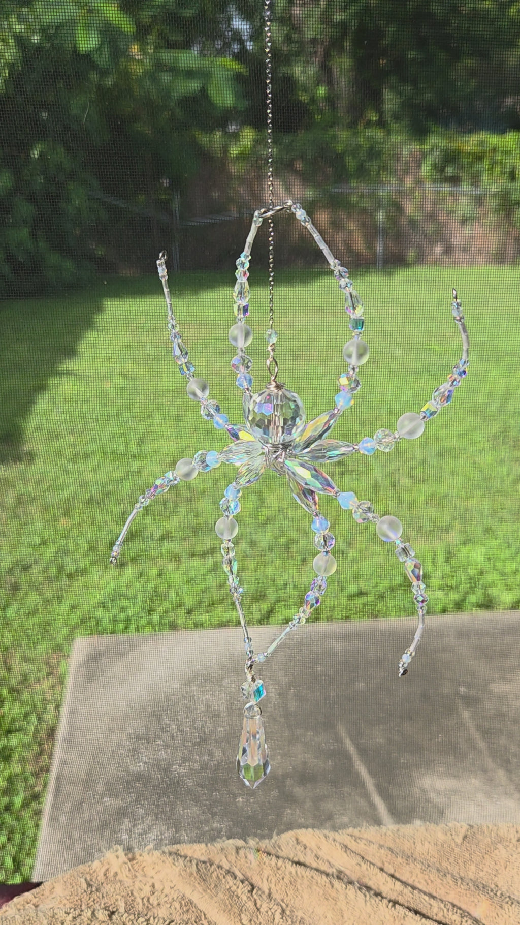 Iridescent Not Scary Spider