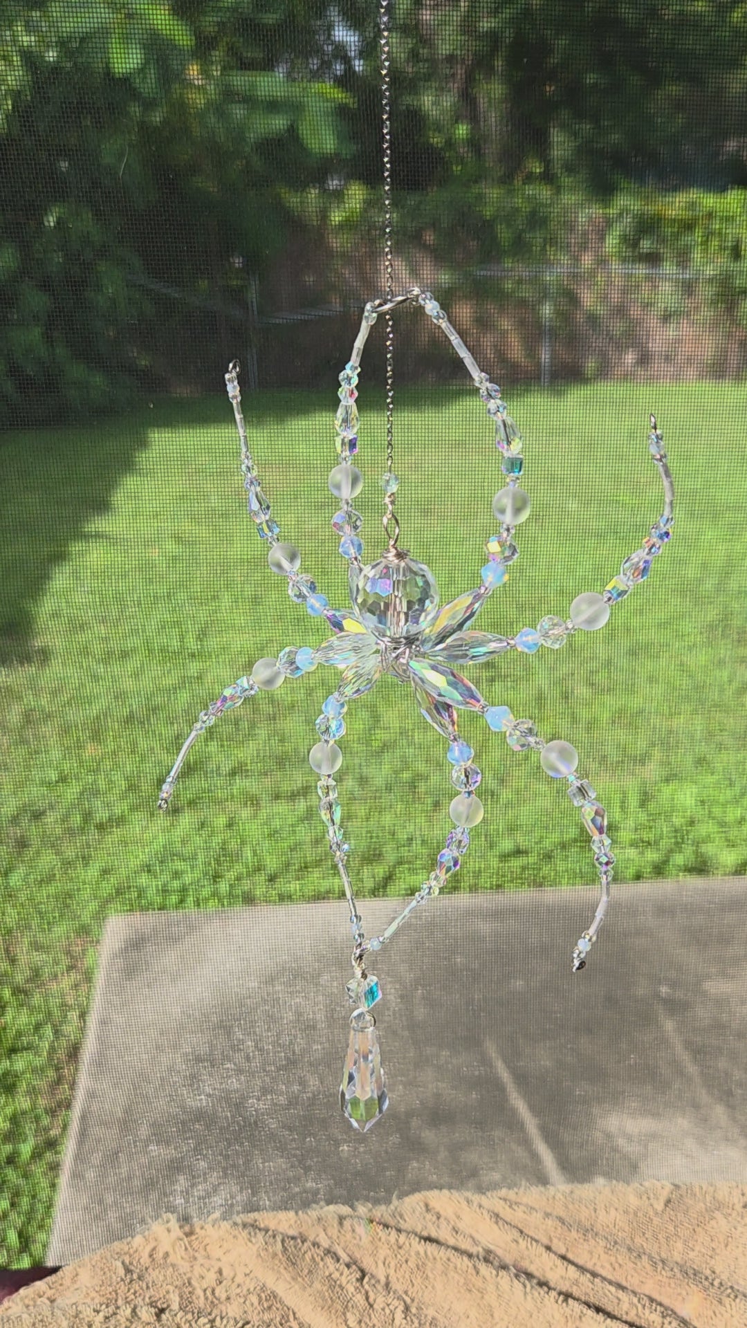 Iridescent Not Scary Spider