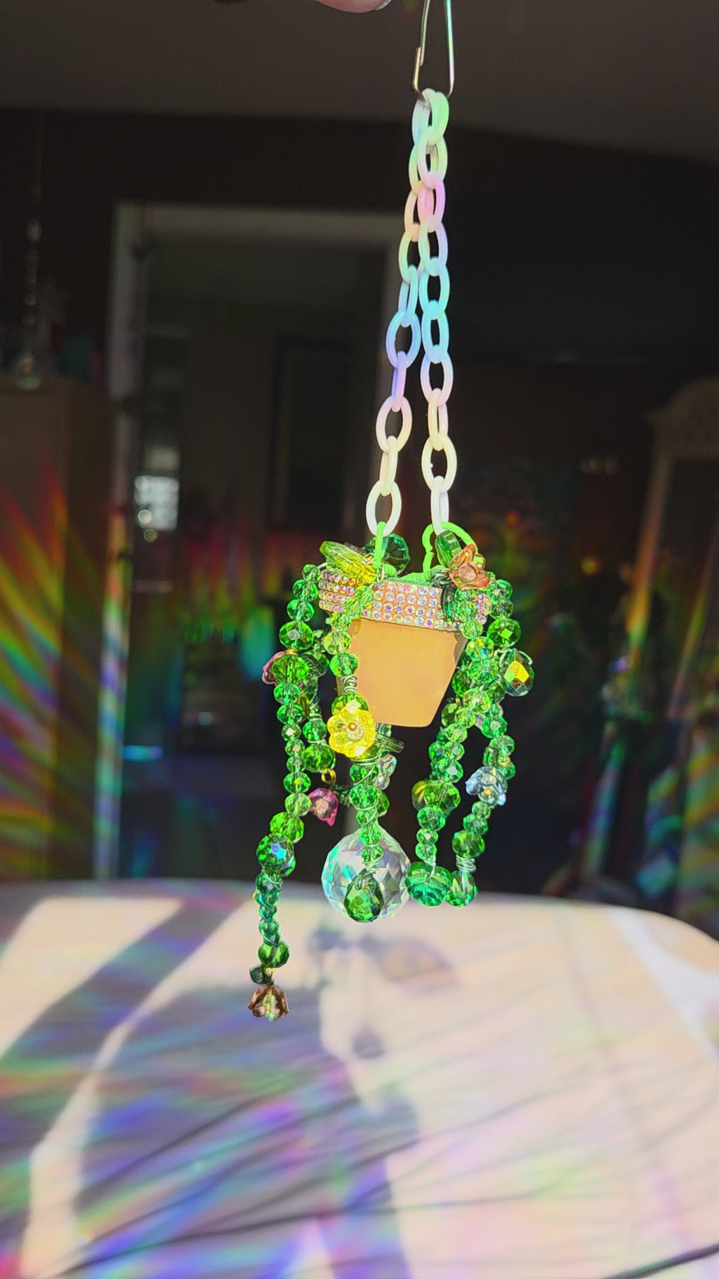 Multi-colored Forever Plant