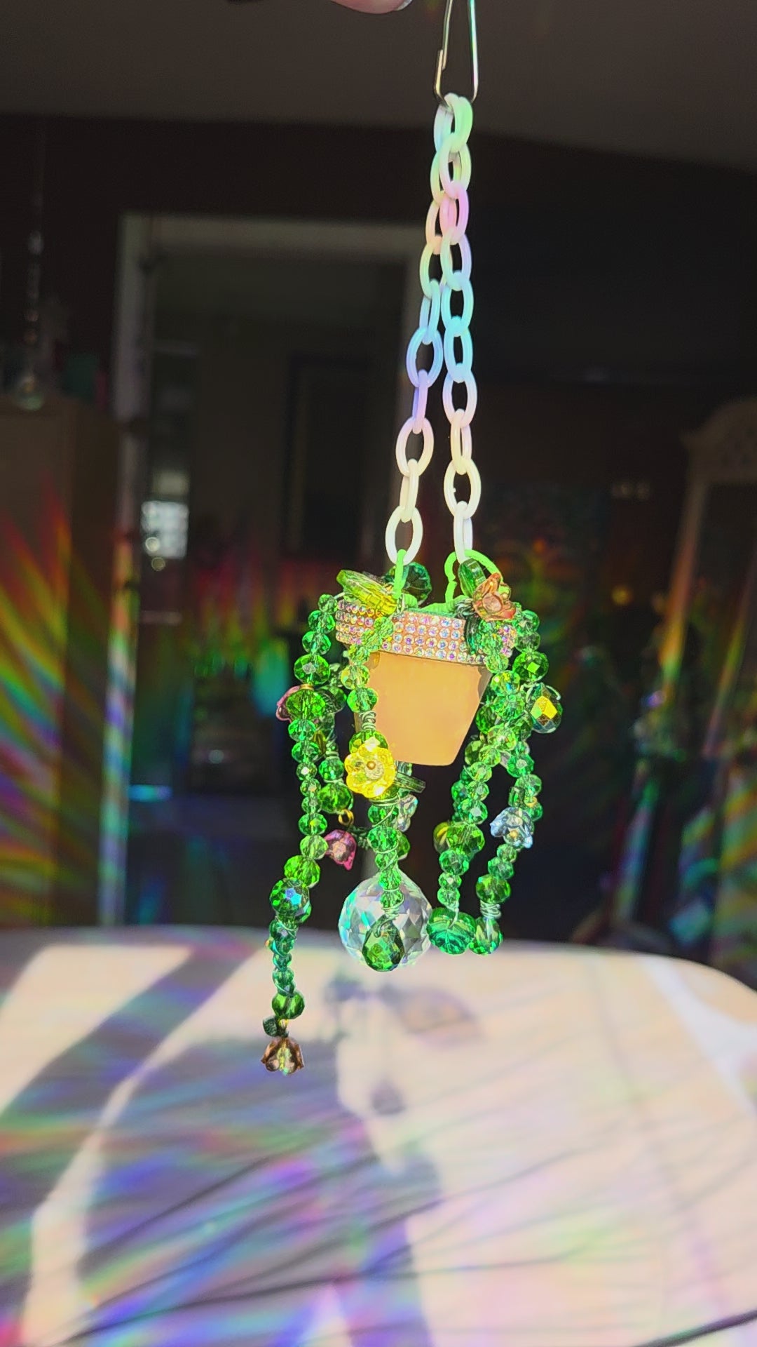 Multi-colored Forever Plant