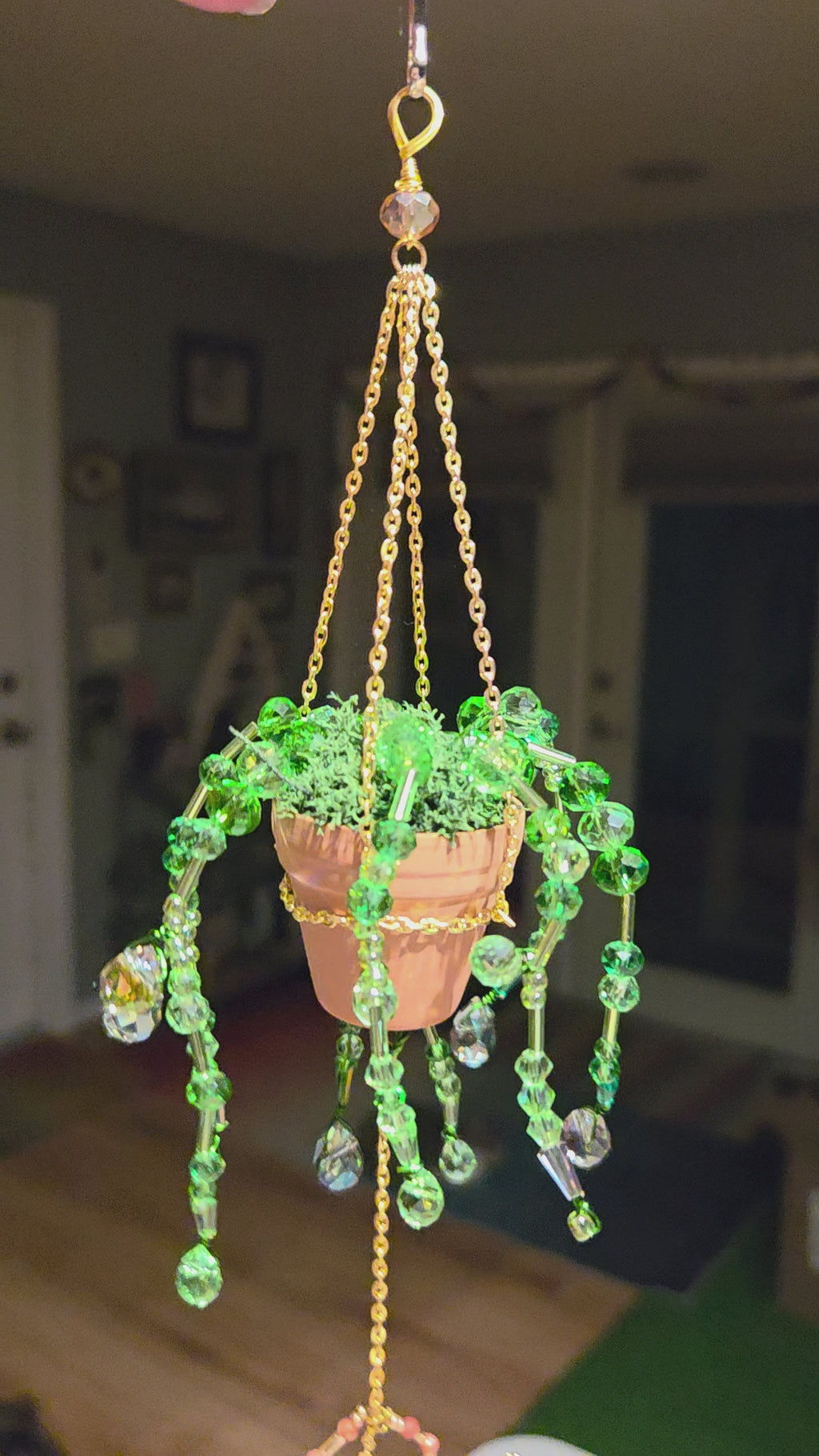Forever Plant with Spider Friend