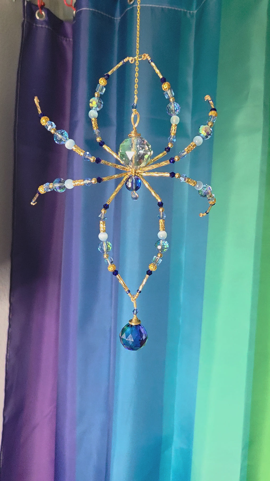 Sapphire Not Scary Spider