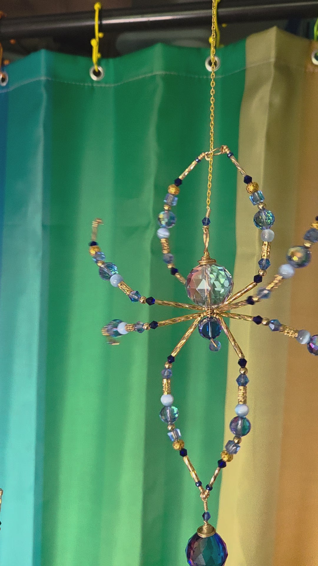 Sapphire Not Scary Spider
